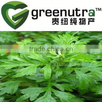 Argy Wormwood Leaf Extract Powder