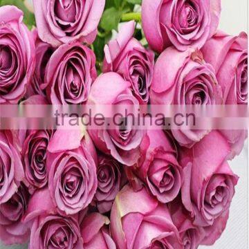 Most Selling Rose Flowers Cheap Cut Flowers Price Directly Import From Website photo-2