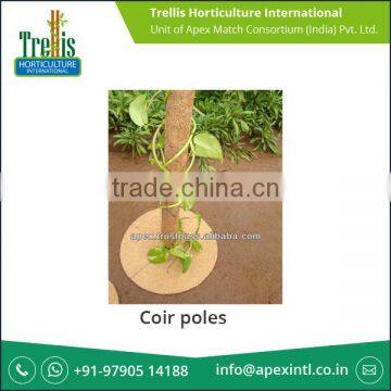 Coconut Coir Poles for Climbing Plants