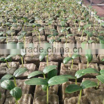 Hydroponic Grow Rockwool Mineral Wool Cubes for Plant Growing photo-5