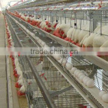 Taiyu easy installing cage farming system