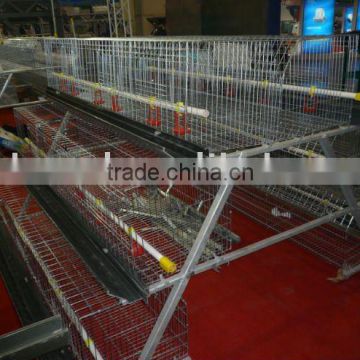 high quality breeder cage for chicken