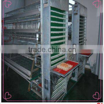 Poultry automatic egg collecting machine for broiler chicken farm