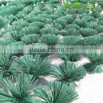 WY-174 Manufacturer popular Tonkin Square and round bamboo stake for making orchard flower plant