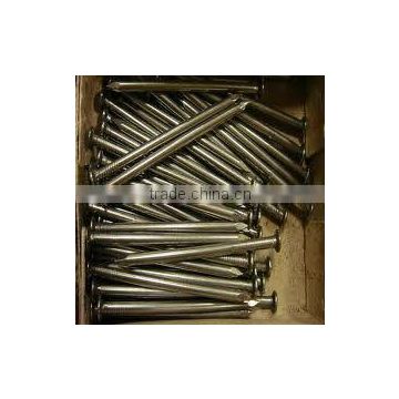 commom round iron nail/lardge iron nail