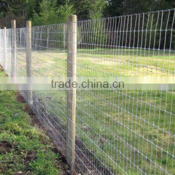 ISO9001 Professional Manufacturer High Zin Coated Galvanized Prairie Fence Net photo-5