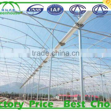 Multi Span Plastic Roofing Sheets Agricultural Commercial Greenhouses for Sale photo-2
