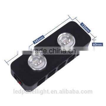 180W MCOB Led Grow Light for Indoor Greenhouse Growing Medical Plants photo-2