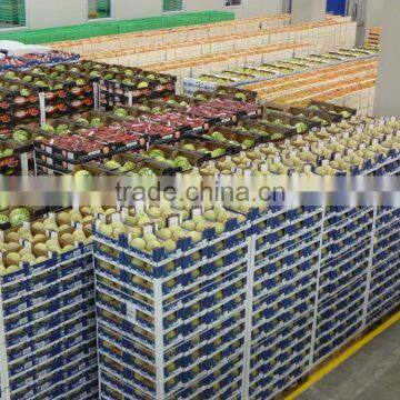 Used Prefabricated Vegetable Warehouse Buildings for Sale photo-4