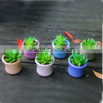 Whosale various colours smail decoration ceramic flower pots with hole for succulent plant