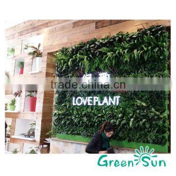 Dual Layer vertical garden green wall module artificial hanging wall for plants synthetic grass moss turf indoor decor