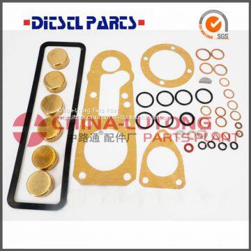 Wholesales Repair Kit 1 417 010 003/800006 For Pump Rebuild kit On High Quality