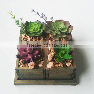 Wholesale Ornamental Plants Small Plastic Succulent Plant Bonsai