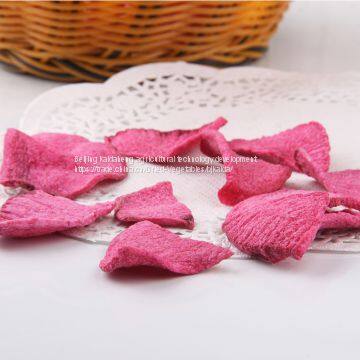 Fruit Radish Chips/Fruit Radish Chips OEM photo-4