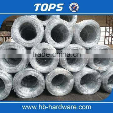 Hot-selling Factory Direct Electro Galvanized Iron Wire photo-2