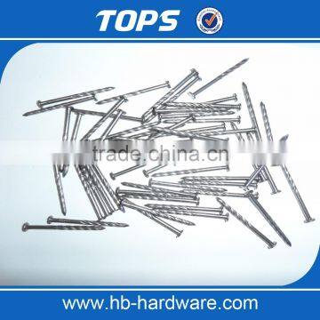 China Common Nail Iron Nail Factory photo-2