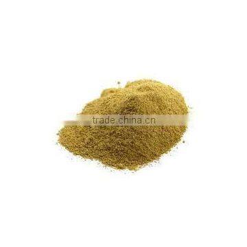 Cissus Extract