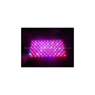 Cheap Red LED Grow Plant Lights RCG100*3W for Horticulture Greenhouse