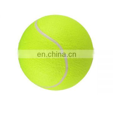 9.5" Giant Tennis Ball for Sports Pet Toys