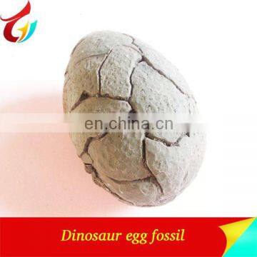 Exhibit Dinosaur Egg Model Dinosaur Egg Fossils