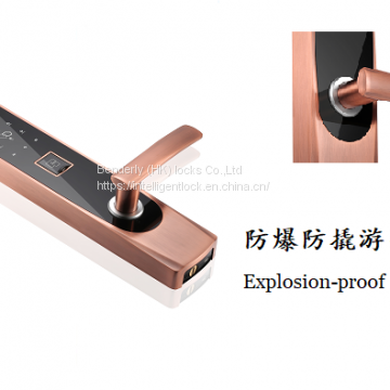 Korea South Market Convenience Goods Biometric Door Lock (website:bessie_wu077) photo-2