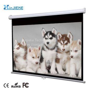 Manual Projector Screen