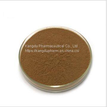 100% Natural Ginkgo Biloba Extract USP Grade Ginkgo Biloba Powder