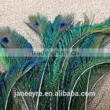 12-13"/30-35cm Length Peacock Sword Feather Natural Green For Hats/Costume/Crafts photo-2