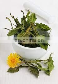 Pure Dried Dandelion Leaves for Herbal Tea/ Organic Pure Dried Dandelion Leaves From Vietnam photo-5