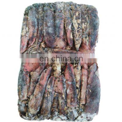 china frozen black squid indian ocean squid 80-150 wholesale