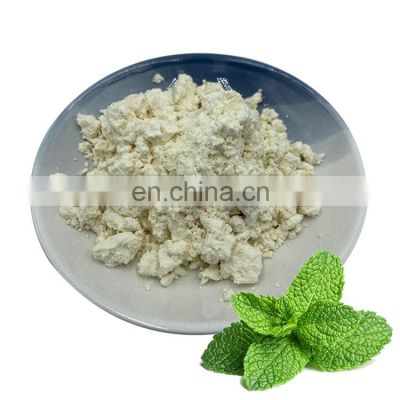 Food Grade Peppermint Extract/Peppermint Leaf Extract