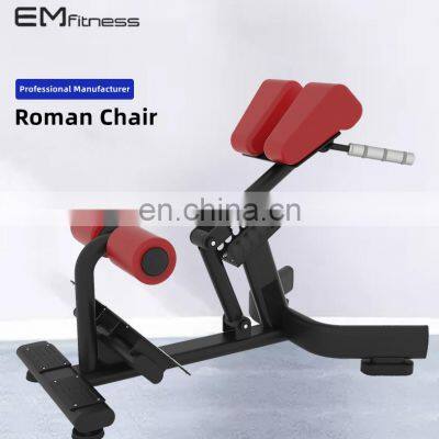 Fitness Equipment Gym roman chair gym equipment back