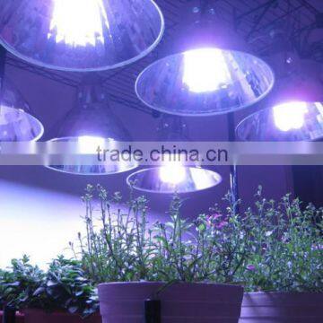 Multifunctional t5 Reptile Lamp With CE Certificate photo-4