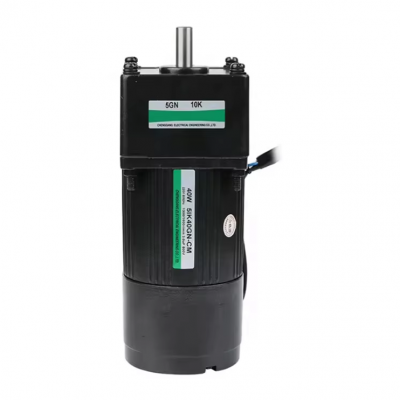 wholesale from manufacturers 220v 40w constant speed motor for automation equipment