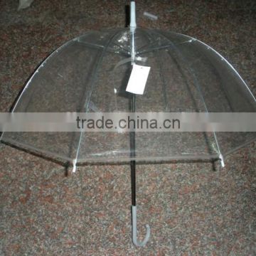 RYP3453-2 Transparent umbrella