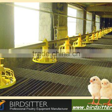 bird breeer for sale