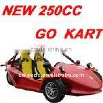 NEW 250CC TWO SEAT GO KART (MC-415)