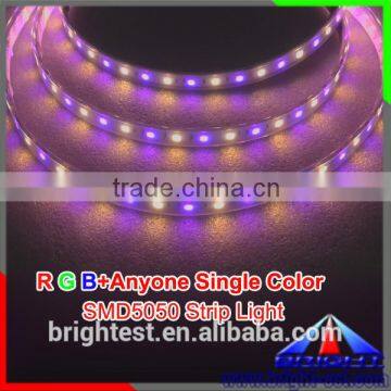 Addressable RGB+W/RGB+R Waterproof IP 65 12VDC/24VDC 12 power led strip 5050 60LEDS/M