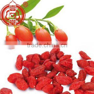 Gojihome Goji Berries, Oversea Market Usage of Ningxia Goji Berries Wolfberries Dried Goji Health Benefits Chinese Wolfberry photo-6