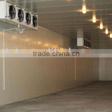 5m*8m*3m cold room for meat frozen cold room for meat and fish