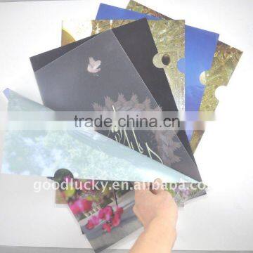 Factory directly selling bulk plastic file folder /A4 PP folder /pp file folder