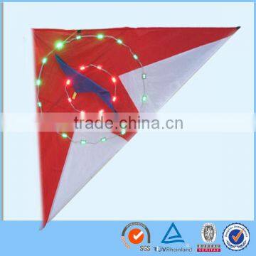 LED Night Kite