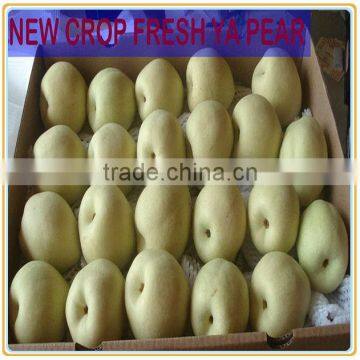 Super Fresh Fruit Ya Pear photo-2