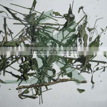 ANDROGRAPHIS PANICULATA EXTRACT