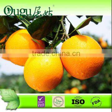 2014 Sweet Navel Orange Citrus Fruit