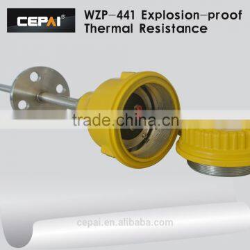 WZP-240 Explosion-proof Type RTD photo-3