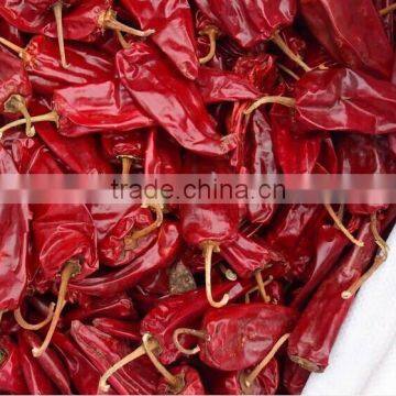 Chilli
