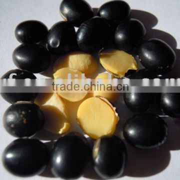 black bean yellow kernel ( soya bean) 2010