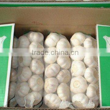 LAIWU GARLIC 1KG MESH BAG