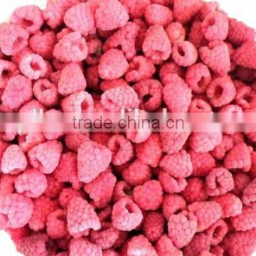 IQF Frozen Raspberries